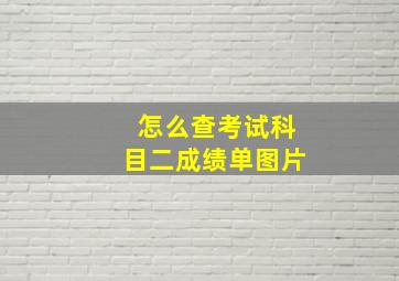 怎么查考试科目二成绩单图片