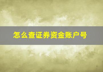 怎么查证券资金账户号