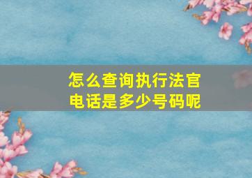 怎么查询执行法官电话是多少号码呢