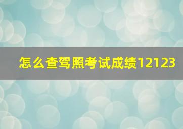 怎么查驾照考试成绩12123