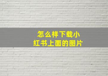 怎么样下载小红书上面的图片