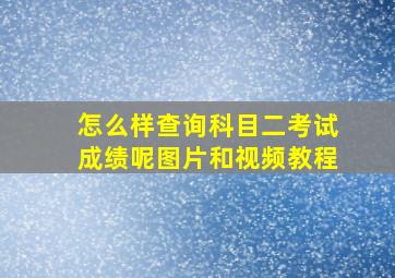 怎么样查询科目二考试成绩呢图片和视频教程