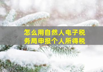 怎么用自然人电子税务局申报个人所得税