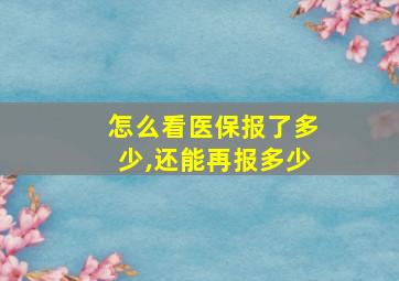 怎么看医保报了多少,还能再报多少