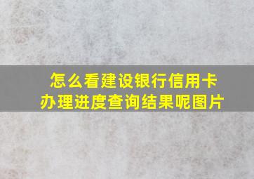 怎么看建设银行信用卡办理进度查询结果呢图片