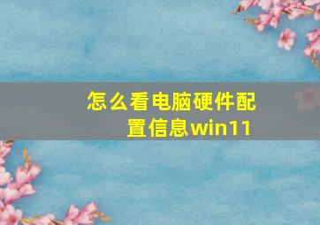 怎么看电脑硬件配置信息win11