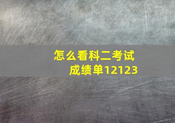 怎么看科二考试成绩单12123