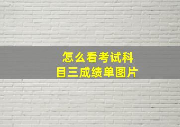 怎么看考试科目三成绩单图片