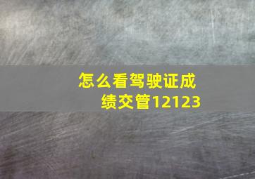 怎么看驾驶证成绩交管12123