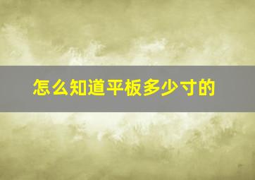 怎么知道平板多少寸的