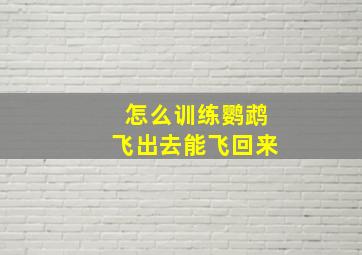 怎么训练鹦鹉飞出去能飞回来