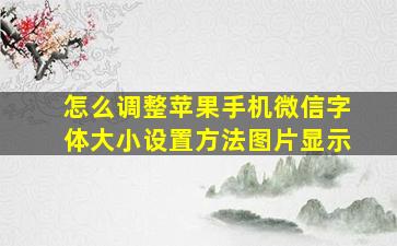 怎么调整苹果手机微信字体大小设置方法图片显示