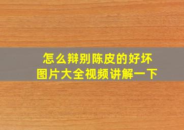 怎么辩别陈皮的好坏图片大全视频讲解一下