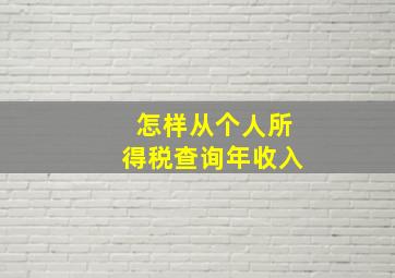 怎样从个人所得税查询年收入