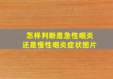 怎样判断是急性咽炎还是慢性咽炎症状图片