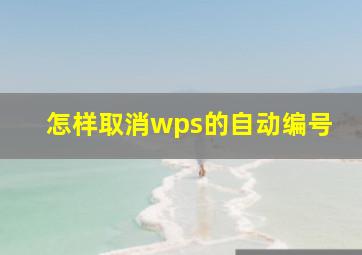 怎样取消wps的自动编号