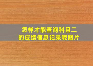 怎样才能查询科目二的成绩信息记录呢图片