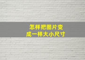 怎样把图片变成一样大小尺寸