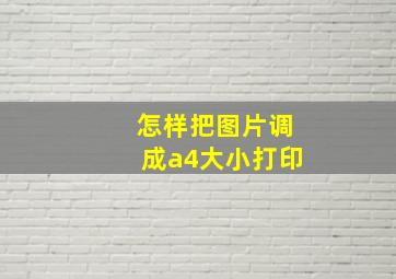 怎样把图片调成a4大小打印