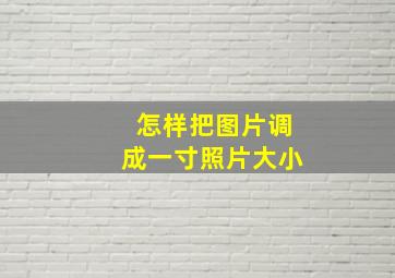 怎样把图片调成一寸照片大小