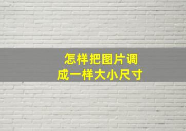 怎样把图片调成一样大小尺寸