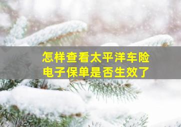 怎样查看太平洋车险电子保单是否生效了