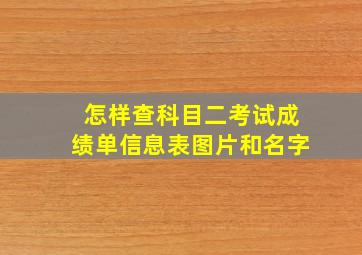 怎样查科目二考试成绩单信息表图片和名字