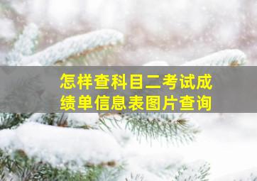 怎样查科目二考试成绩单信息表图片查询