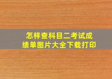 怎样查科目二考试成绩单图片大全下载打印