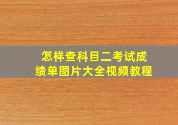 怎样查科目二考试成绩单图片大全视频教程