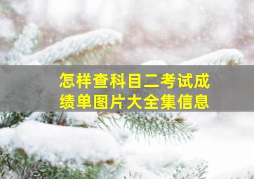 怎样查科目二考试成绩单图片大全集信息