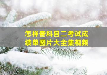 怎样查科目二考试成绩单图片大全集视频