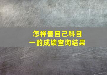 怎样查自己科目一的成绩查询结果