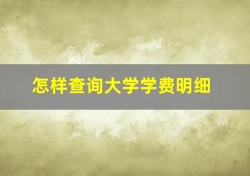 怎样查询大学学费明细