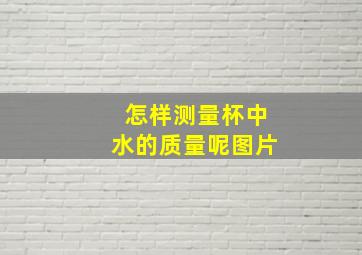 怎样测量杯中水的质量呢图片