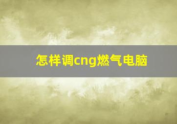 怎样调cng燃气电脑