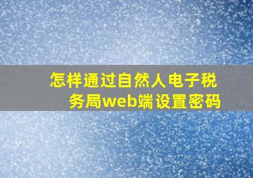 怎样通过自然人电子税务局web端设置密码