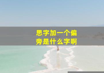 思字加一个偏旁是什么字啊