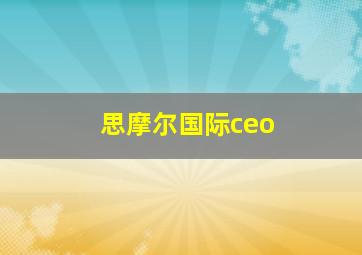 思摩尔国际ceo