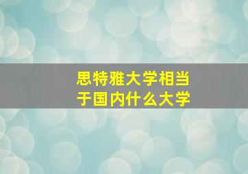 思特雅大学相当于国内什么大学