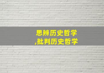 思辨历史哲学,批判历史哲学