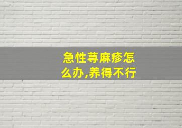 急性荨麻疹怎么办,养得不行