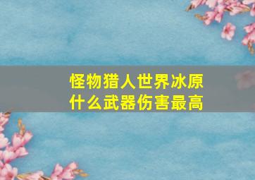 怪物猎人世界冰原什么武器伤害最高