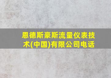 恩德斯豪斯流量仪表技术(中国)有限公司电话