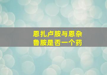 恩扎卢胺与恩杂鲁胺是否一个药