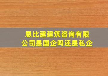 恩比建建筑咨询有限公司是国企吗还是私企