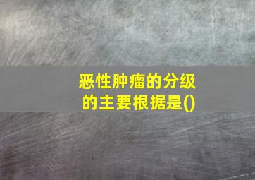 恶性肿瘤的分级的主要根据是()