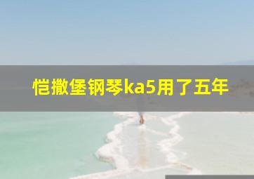 恺撒堡钢琴ka5用了五年