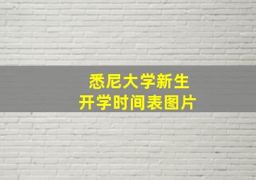 悉尼大学新生开学时间表图片