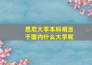 悉尼大学本科相当于国内什么大学呢